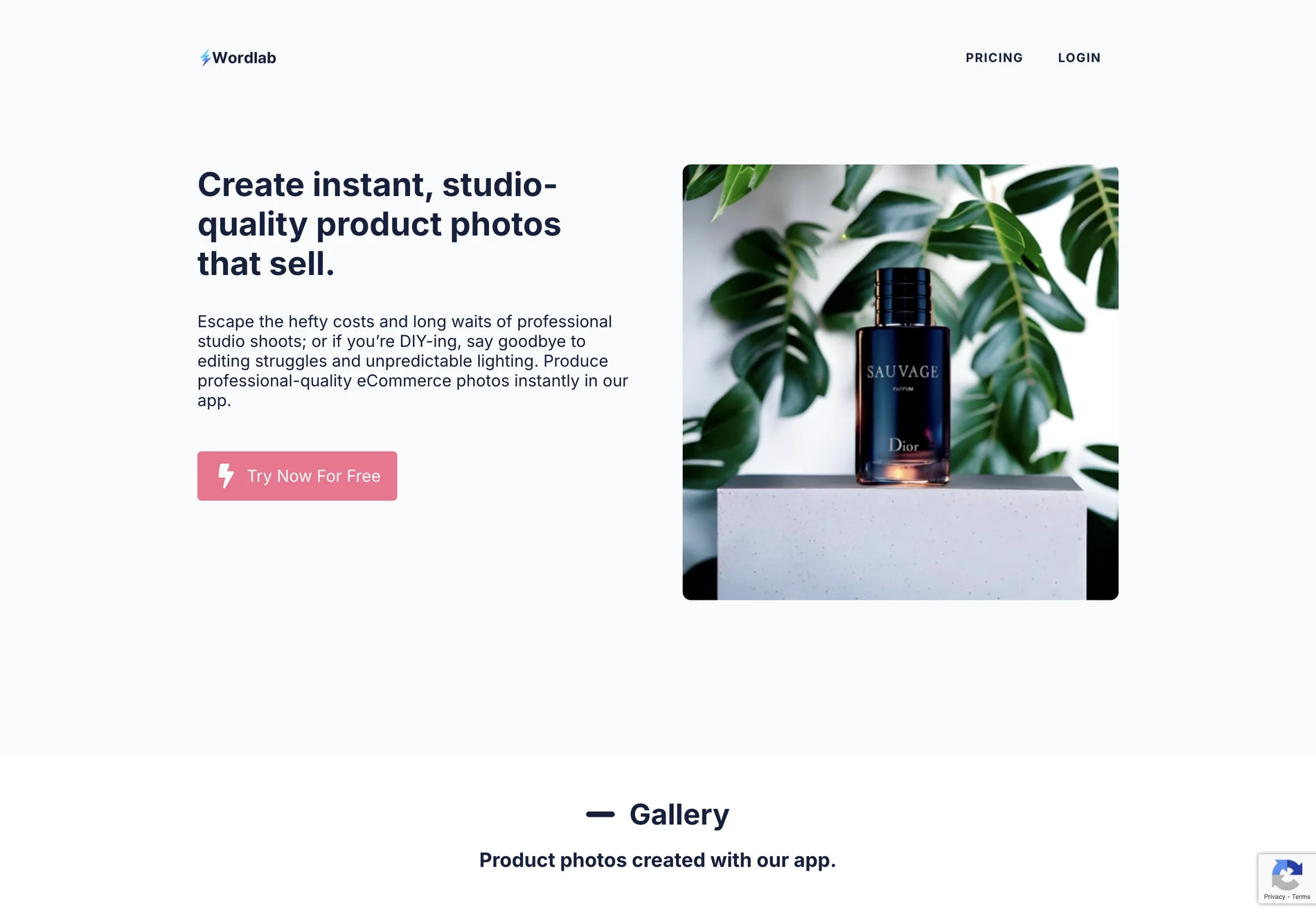 Wordlab: Create Professional eCommerce Product Photos Instantly