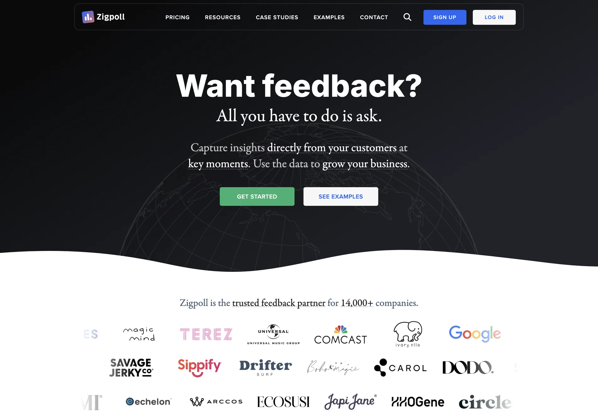 Zigpoll: AI-Powered Survey Platform for Customer Feedback