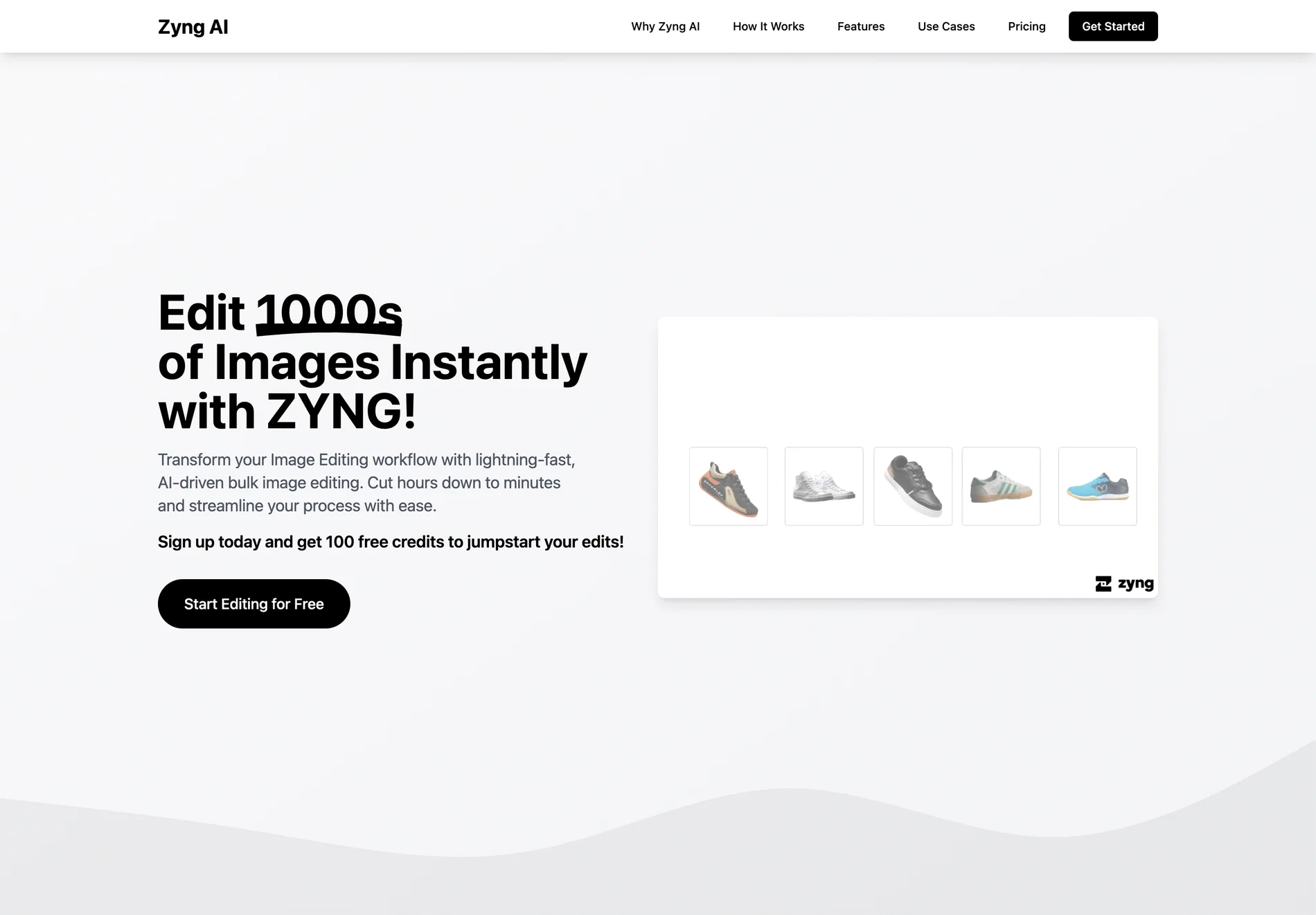 Zyng AI - Bulk AI Image Editing Platform for E-commerce & Photographers