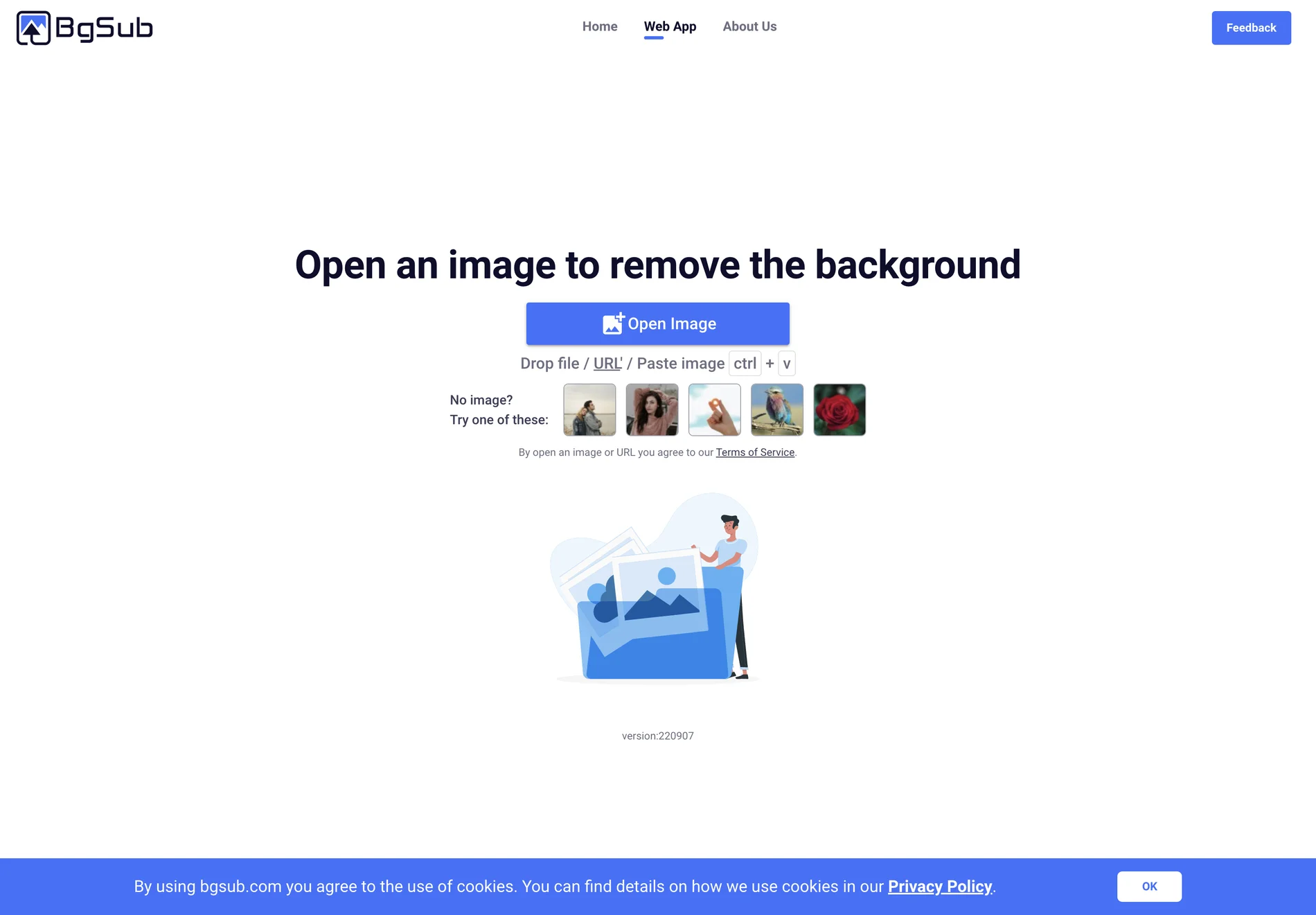 BgSub: Effortlessly Remove or Replace Image Backgrounds