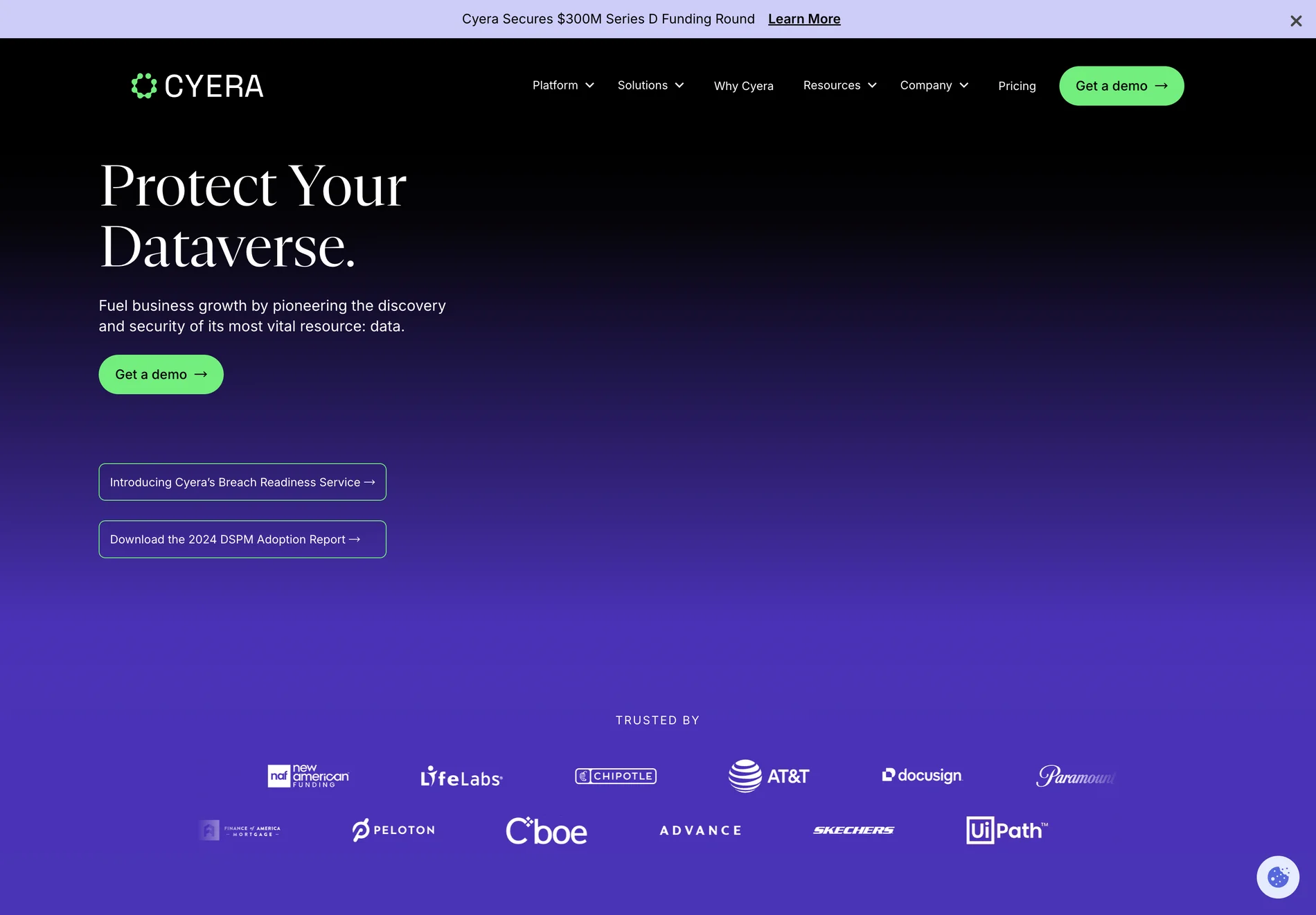 Cyera: AI-Powered Data Security Solution for Business Growth